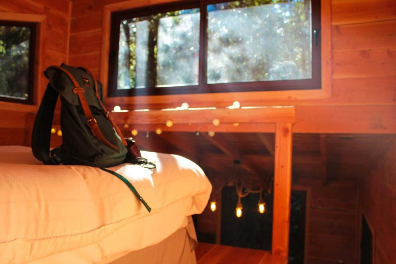 Cabanas Bosque Milenario กอญญารีเป ภายนอก รูปภาพ