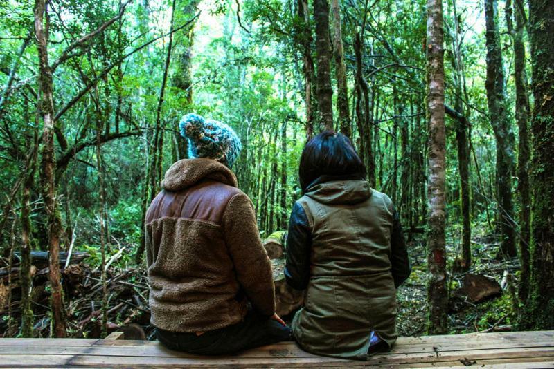 Cabanas Bosque Milenario กอญญารีเป ภายนอก รูปภาพ