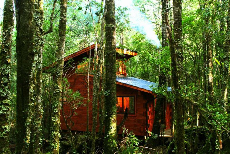 Cabanas Bosque Milenario กอญญารีเป ภายนอก รูปภาพ