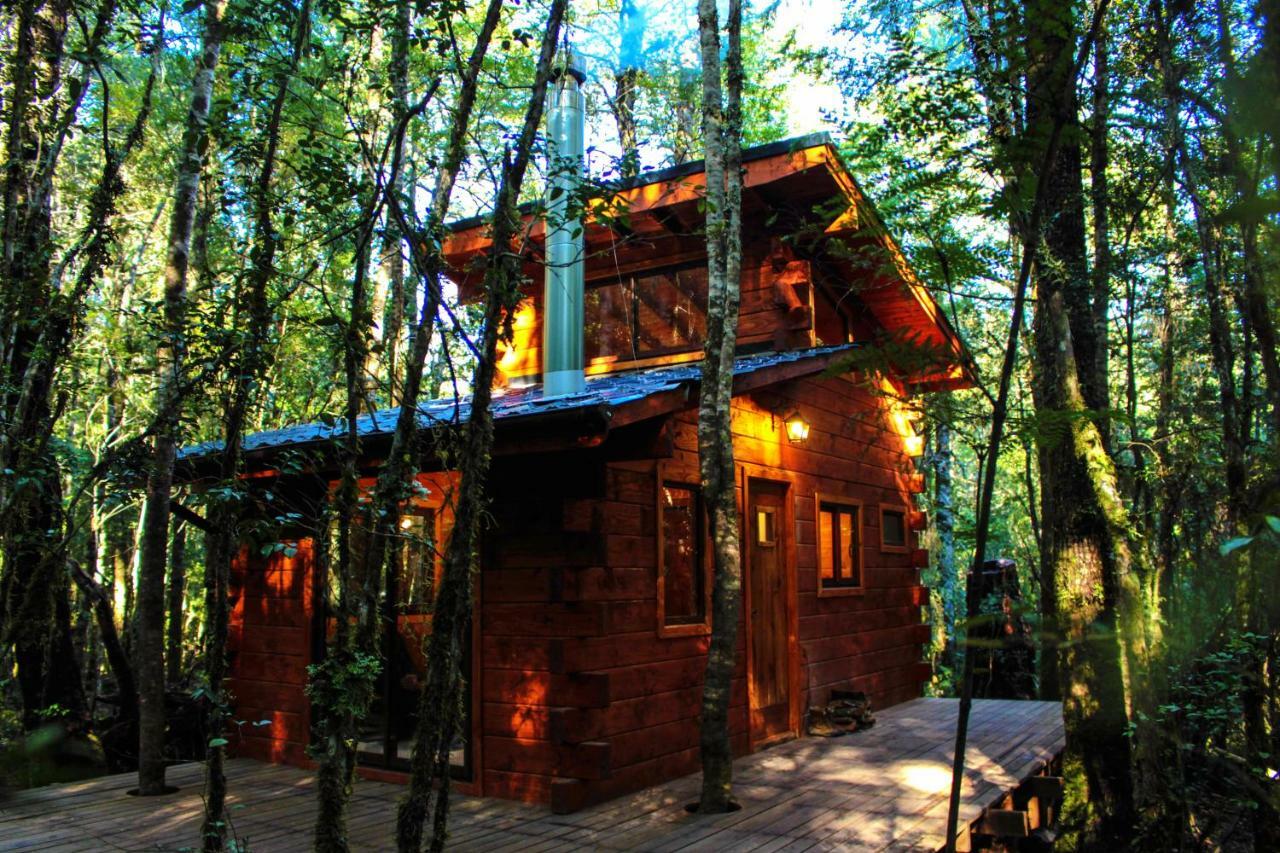 Cabanas Bosque Milenario กอญญารีเป ภายนอก รูปภาพ