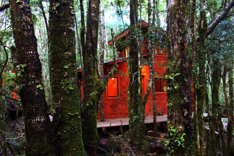 Cabanas Bosque Milenario กอญญารีเป ภายนอก รูปภาพ